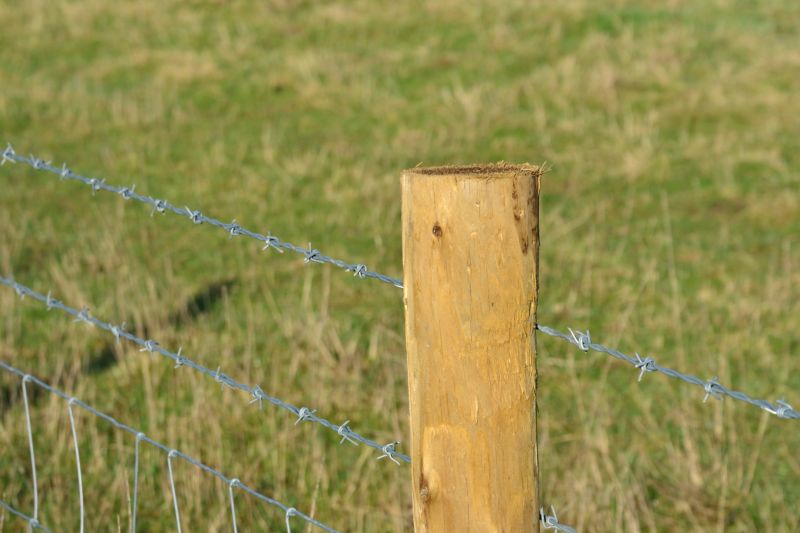 Fence Post Removal Service