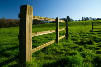 Wood Fence Post Removal Service