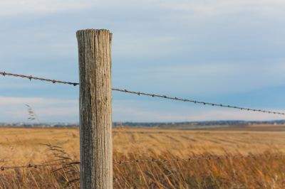 Barbed Wire Fence Post Removal Service